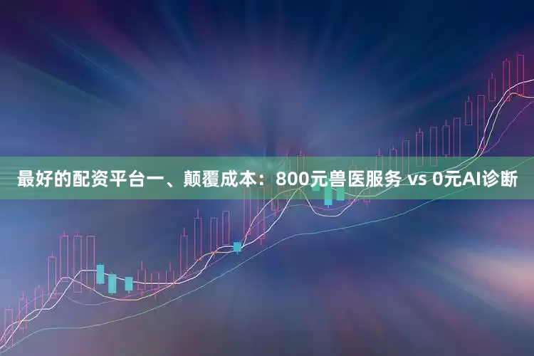 最好的配资平台一、颠覆成本：800元兽医服务 vs 0元AI诊断