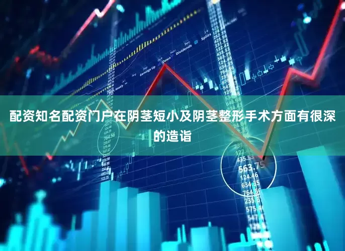 配资知名配资门户在阴茎短小及阴茎整形手术方面有很深的造诣