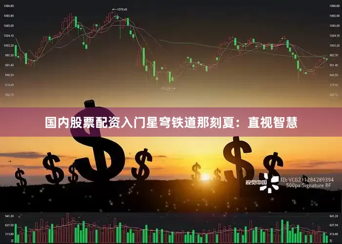 国内股票配资入门星穹铁道那刻夏：直视智慧