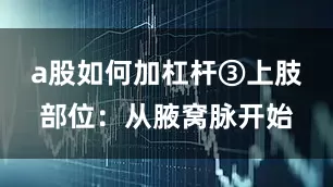 a股如何加杠杆③上肢部位：从腋窝脉开始