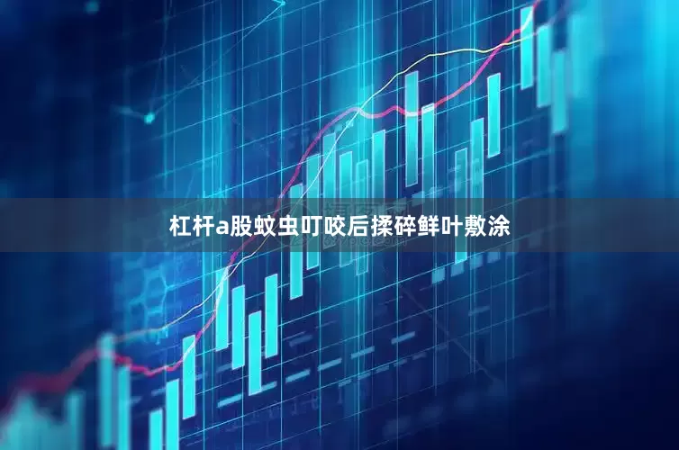 杠杆a股蚊虫叮咬后揉碎鲜叶敷涂