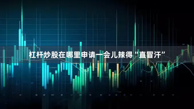 杠杆炒股在哪里申请一会儿辣得“直冒汗”
