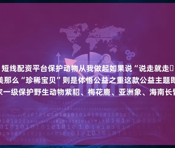 短线配资平台保护动物从我做起　　如果说“说走就走‌Ⅲ”　　是感受生活之美　　那么“珍稀宝贝”　　则是体悟公益之重　　这款公益主题即开票　　聚焦于五种国家一级保护野生动物　　紫貂、梅花鹿、亚洲象、海南长臂猿、雪豹　　票面设计以极具艺术感染力的插画风格　　细细描绘动物们的皮毛纹理　　体现野生动物灵动可爱的一面　　让人忍不住用指尖触摸　　感受生命的温度　　……　　“珍稀宝贝” 面值10元　　刮开覆盖膜　